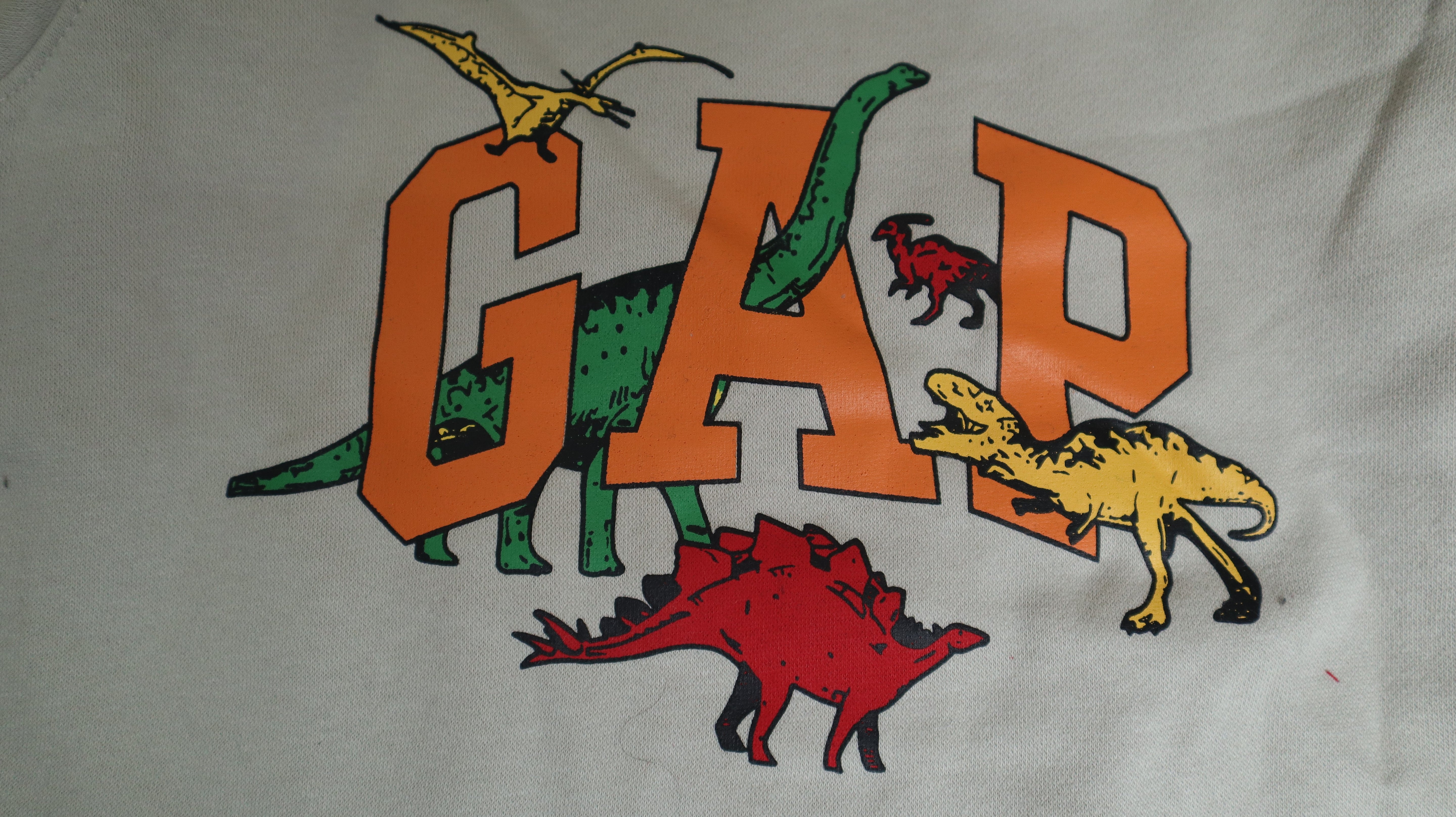 GAP-LSK (Fleece Track Suit)  - Winter Wear